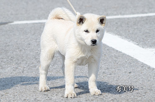 2014031201