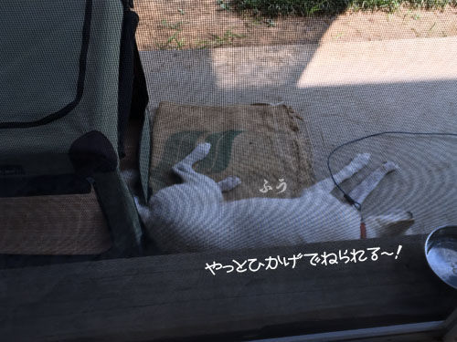 2016081506
