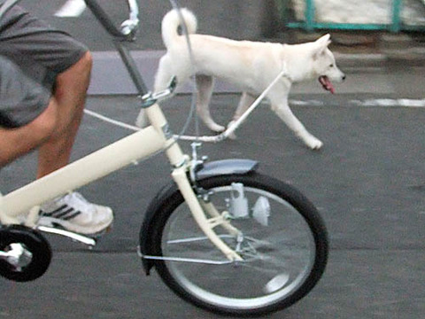 2010082501