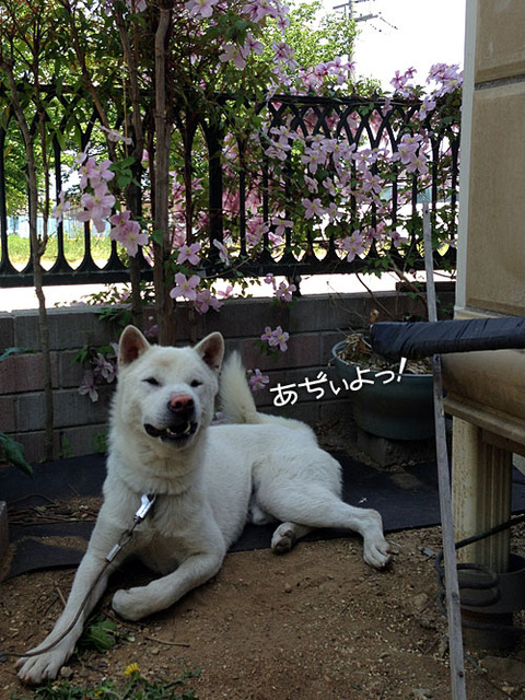 2013051906