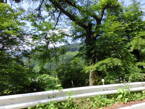 2014062002