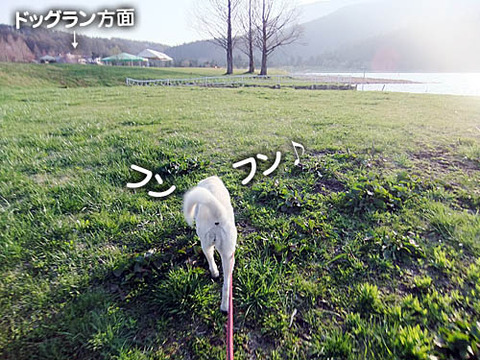 2011051013