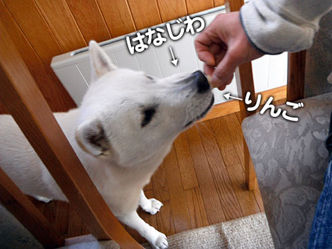 2011120808