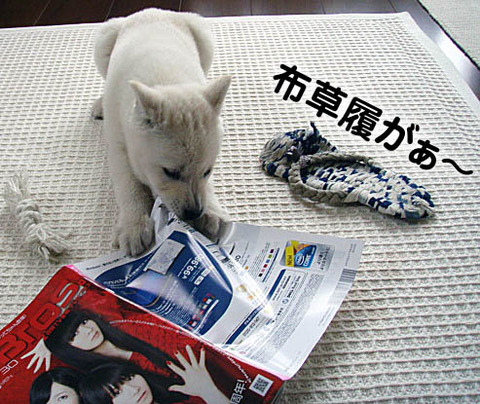 2010041603