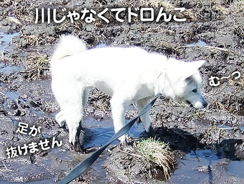 2011041820