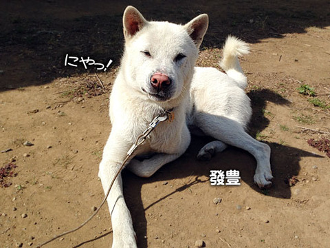 2013061403