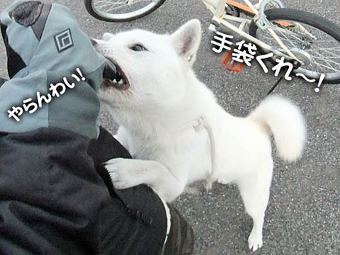 2010122402