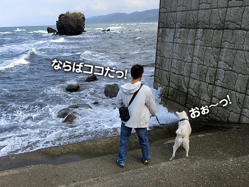 b5e128a5.jpg