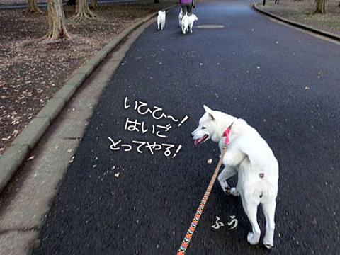2013103106