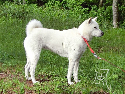2013062001