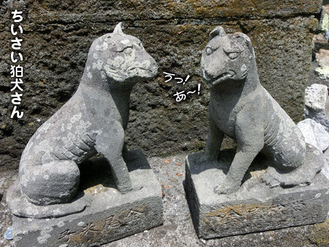 2014062116