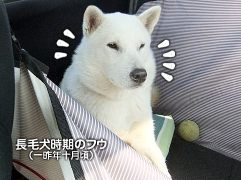 2013061208