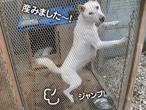 2011102404