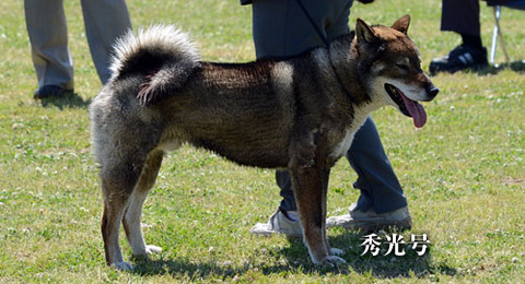2013051308
