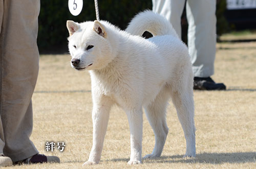 2014031705