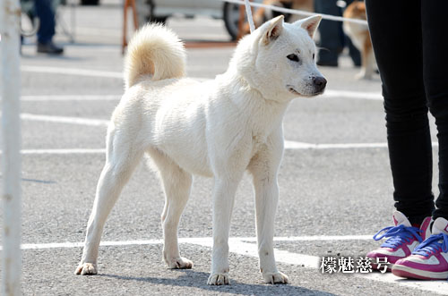 2014031208