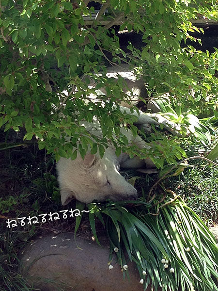 2013051901