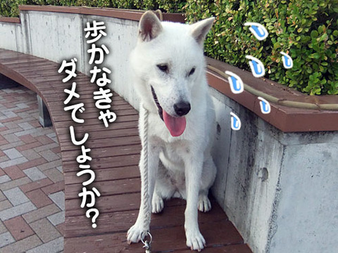 2011062402