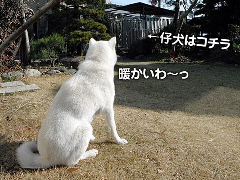 2011122901