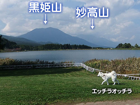 2010100901