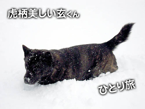 2011013006