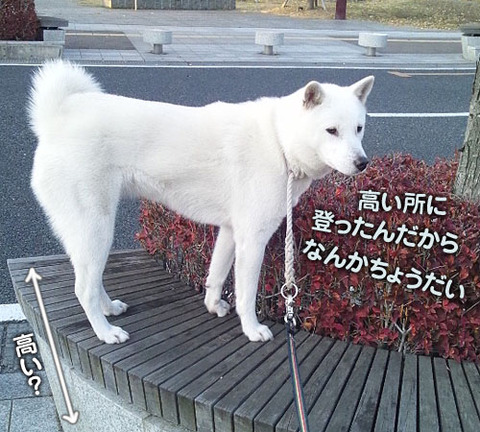 2011112401