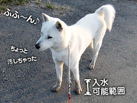 2011051014