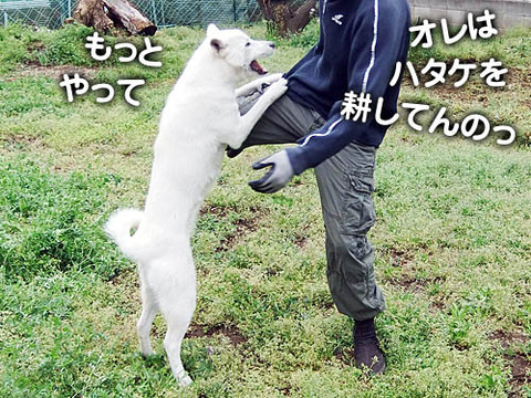 2011042308