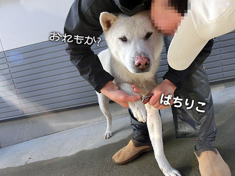2013041102