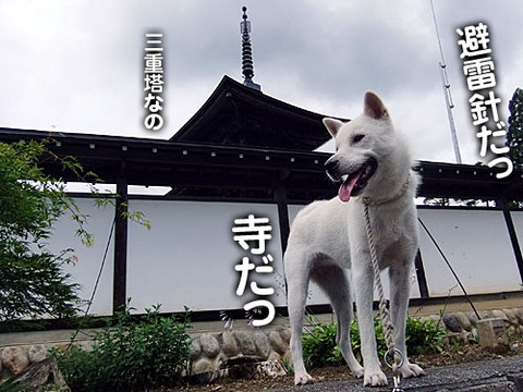 2011080105