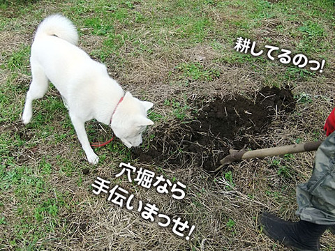 2011111404