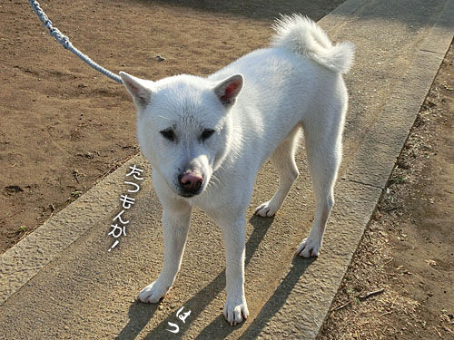 2014032410
