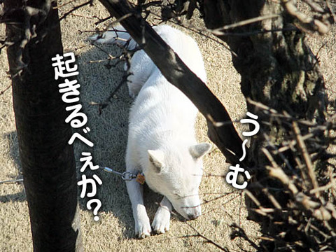 2011032404