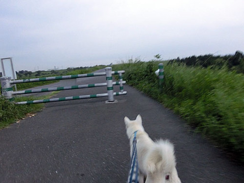 2013082501