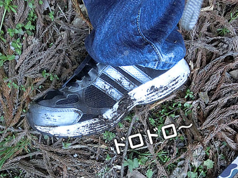 2013051618