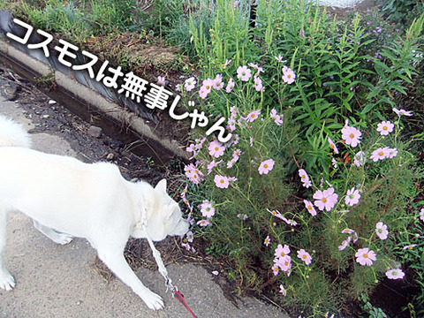 2011092405