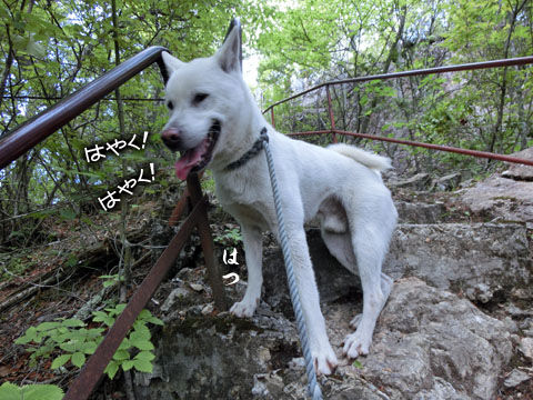 2014062112