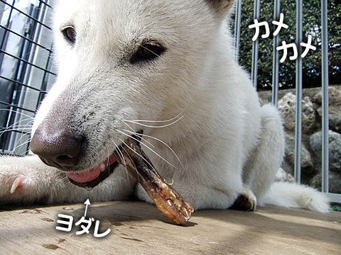 2011032810