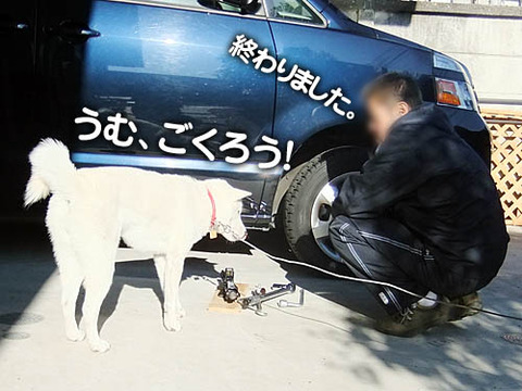 2010122805