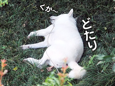 2011091402
