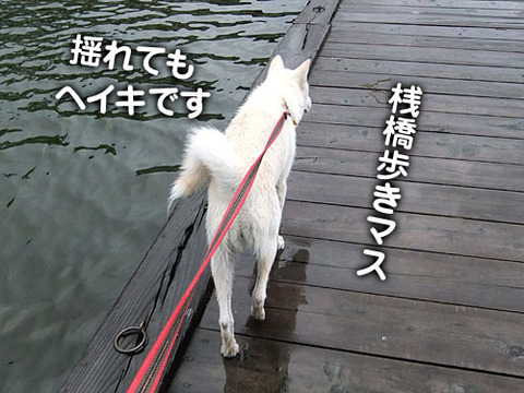 2011071005