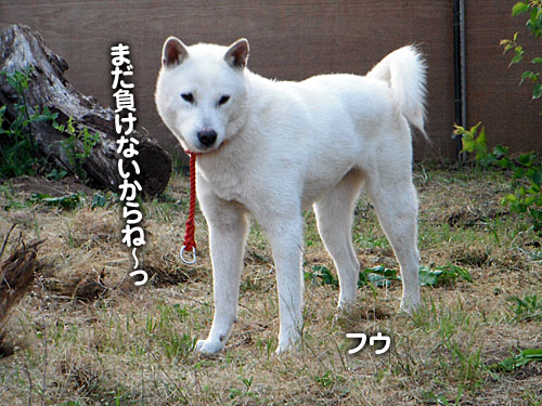 c53a8201.jpg