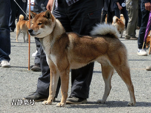 2014043007
