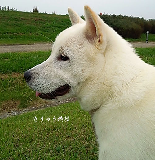 2016062513