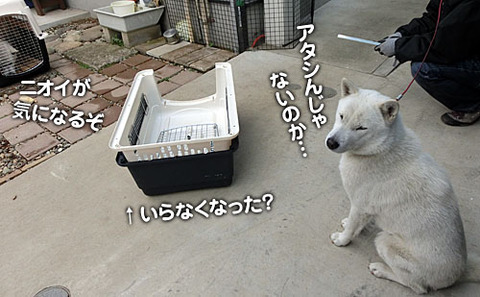 2012122306