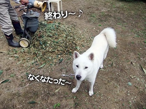 2011110105