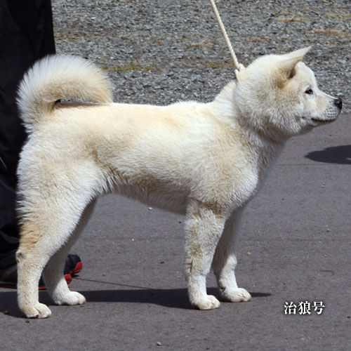 2019032702