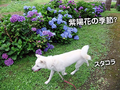 2011080106