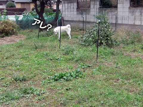 2011103008