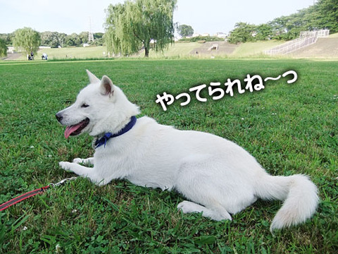 2011062507